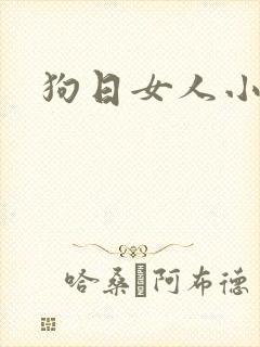 狗日女人小说封面