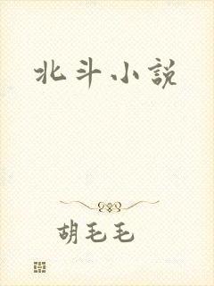 北斗小说
