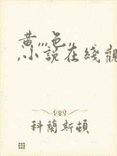 黄,,,色,,,小说在线观看