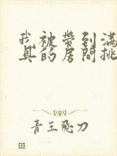 我被带到满是玩具的房间挑调作文