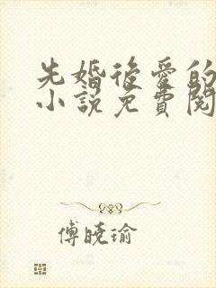 先婚后爱的军婚小说免费阅读全文