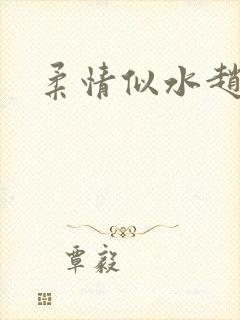 柔情似水赵雅儿