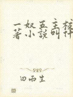 一奴五主校花原著小说叫什么
