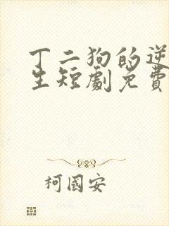 丁二狗的逆袭人生短剧免费播