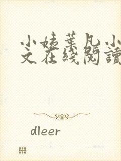 小姨叶凡小说全文在线阅读