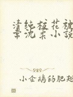清纯校花被擒日常沈柔小说免费阅读