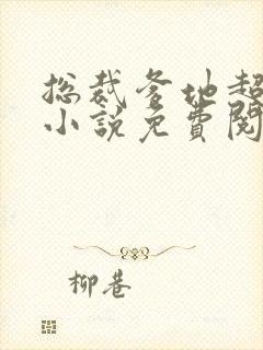总裁爹地超给力小说免费阅读