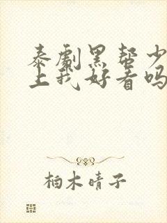 泰剧黑帮少爷爱上我好看吗