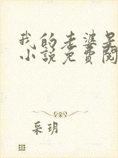 我的老婆是虐狂小说免费阅读