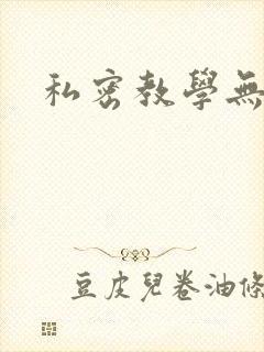 私密教学无删减