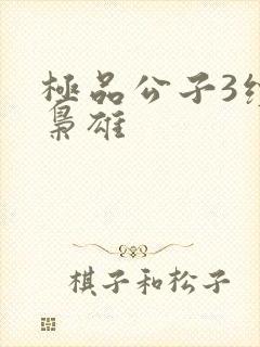 极品公子3续世枭雄