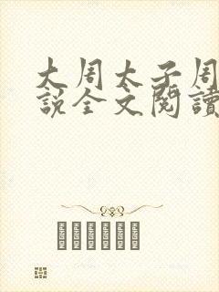 大周太子周铮小说全文阅读无弹窗