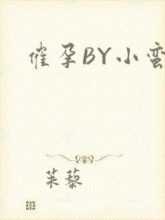 催孕BY小蛮腰