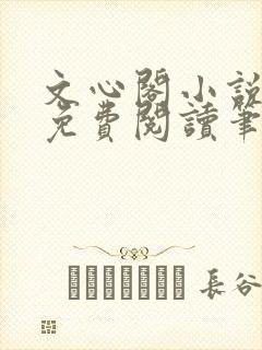 文心阁小说全文免费阅读笔趣阁