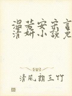 温若安宋言津林清妍小说免费阅读封面