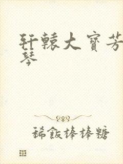 轩辕大宝芳菲雅琴