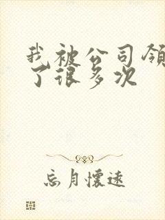 我被公司领导C了很多次