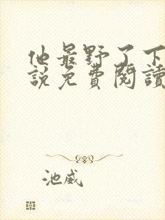 他最野了下册小说免费阅读