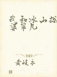 我和冰山总裁老婆宁凡