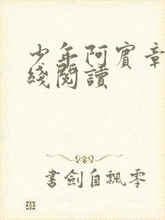 少年阿宾章节在线阅读
