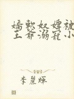 娇软奴婢被强势王爷溺宠小说免费阅读全集