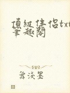 顶级伴侣txt笔趣阁