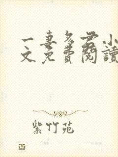 一妻多君小说全文免费阅读