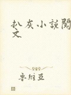 扒灰小说阅读全文封面
