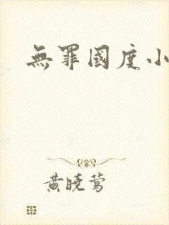无罪国度小说