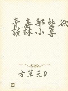 青春那些欲望小说林小喜