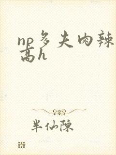np多夫肉辣文高h