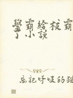 学霸给校霸舔批了小说封面