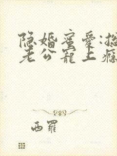 隐婚蜜爱:总裁老公宠上瘾