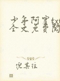 少年阿宾txt全文免费阅读小说