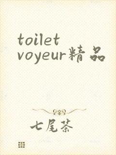 toilet voyeur精品封面