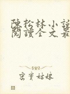 陈松林小说免费阅读全文最新章节封面