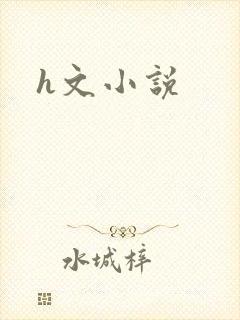 h文小说