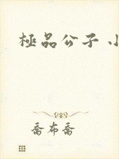 极品公子 小说
