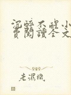 沉醉不醒小说免费阅读全文无弹窗