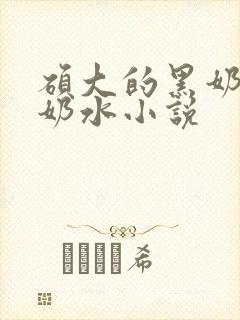 硕大的黑奶头流奶水小说