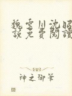 魏云川沈昭禾小说免费阅读笔趣阁