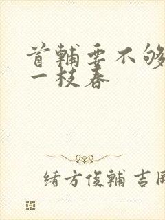 首辅要不够po一枝春