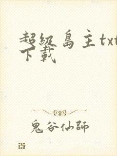 超级岛主txt下载封面
