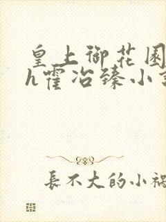 皇上御花园hlh霍冶臻小说