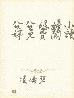 公公媳妇小说婉婷免费阅读全文封面