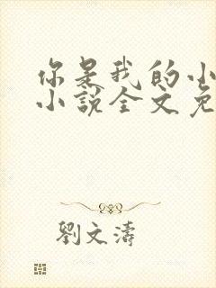 你是我的小可爱小说全文免费阅读