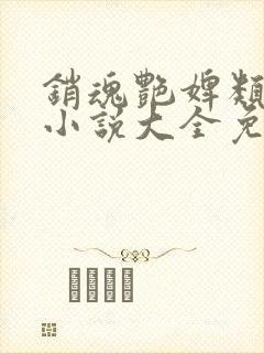 销魂艳婢类似的小说大全免费阅读封面