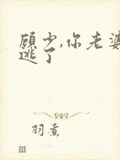 顾少,你老婆又逃了
