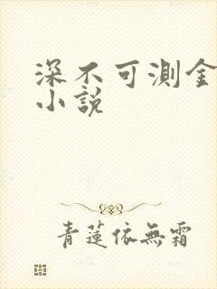 深不可测金银花小说