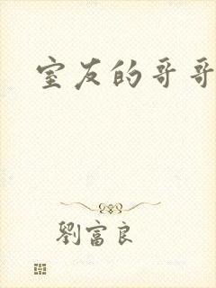 室友的哥哥
